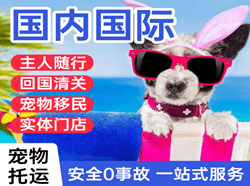 南通兴东航空物流国际宠物托运 【国